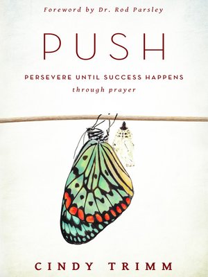 cover image of PUSH